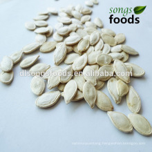 Chia Seed Price With Good Quality